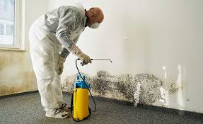 Best Residential Mold Inspection & Testing in Farmersville, CA