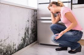 Professional Mold Removal in Farmersville, CA